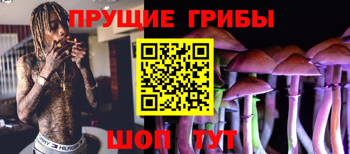 Чебоксары  Галлюциногенные грибы мицелий  Псилоцибиновые грибы Cubensis  купить закладку  Вход с VPN 